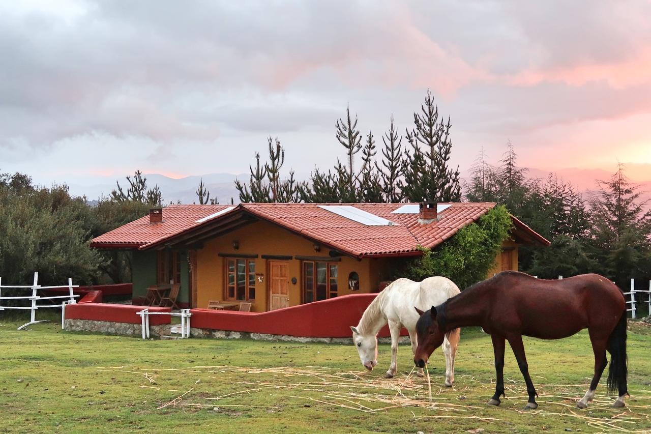 The Lazy Dog Inn A Mountain Lodge Huaraz  Ngoại thất bức ảnh