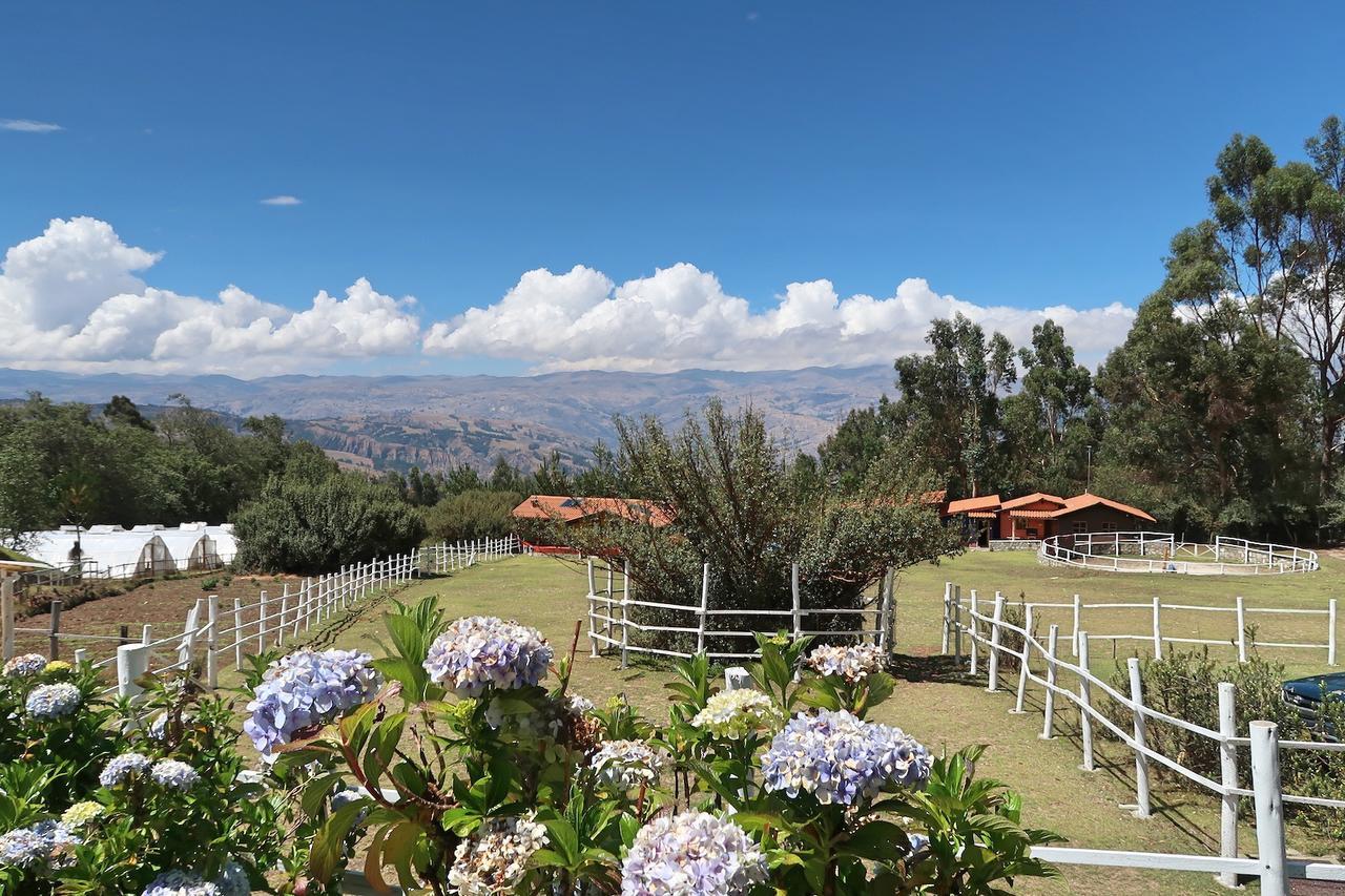The Lazy Dog Inn A Mountain Lodge Huaraz  Ngoại thất bức ảnh