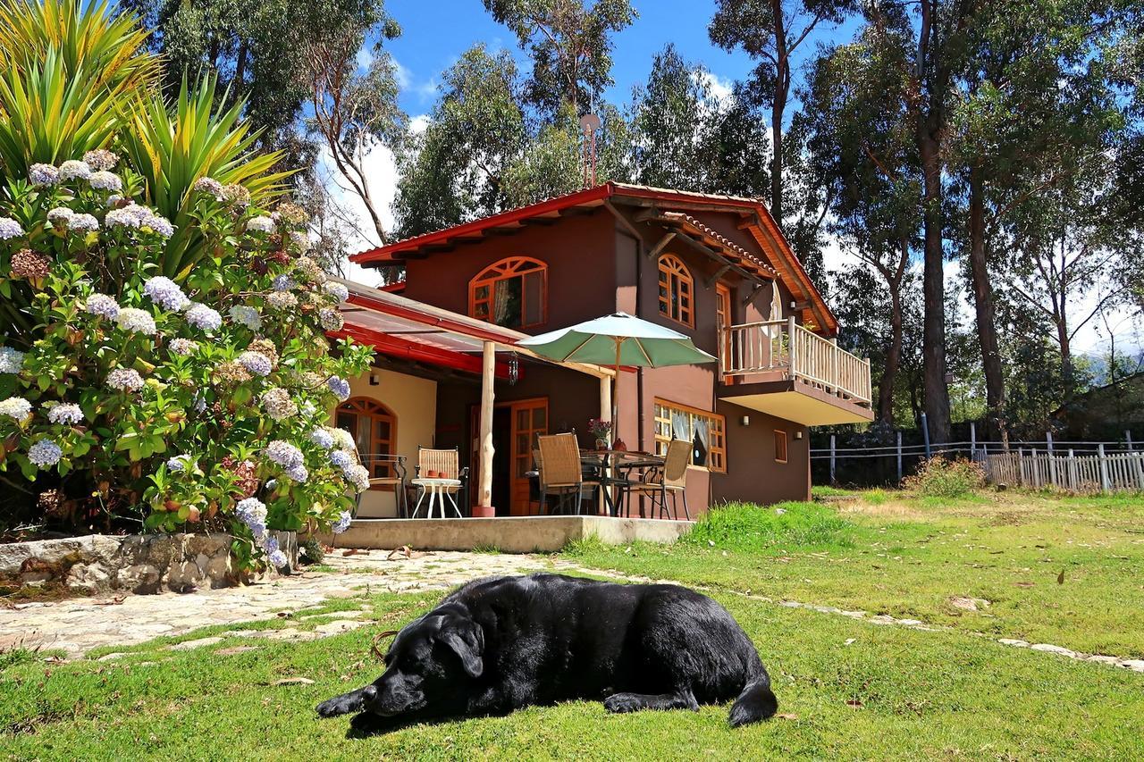 The Lazy Dog Inn A Mountain Lodge Huaraz  Ngoại thất bức ảnh